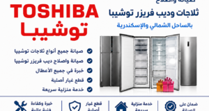 صيانة واصلاح ثلاجات وديب فريزر توشيبا بالساحل الشمالي والاسكندرية